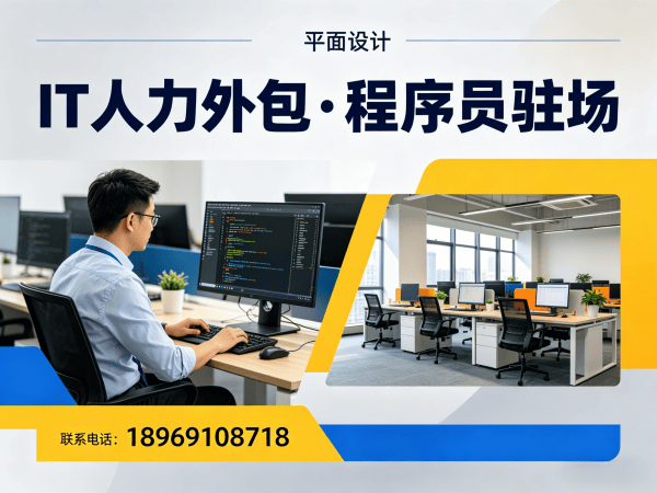 南京IT人力外包解决方案：Python开发工程师人力外包助力企业高效用人