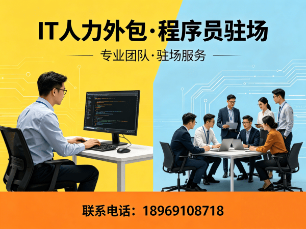 南京IT人力外包解决方案：Go开发程序员高效用工新选择