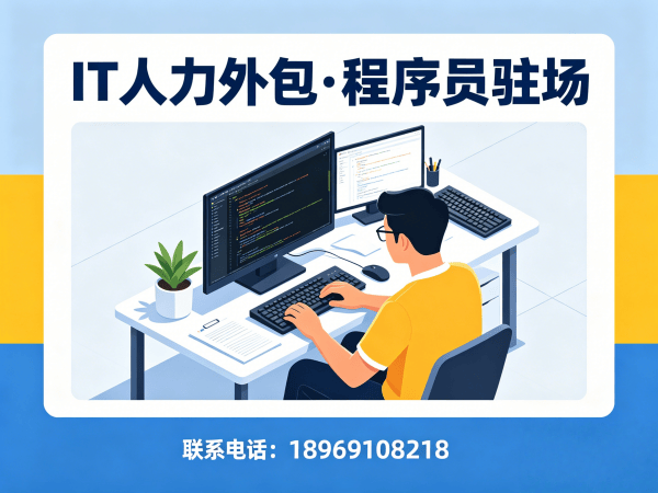 郑州IT人力外包解决方案｜后端开发程序员驻场开发服务｜快速解决技术人才缺口