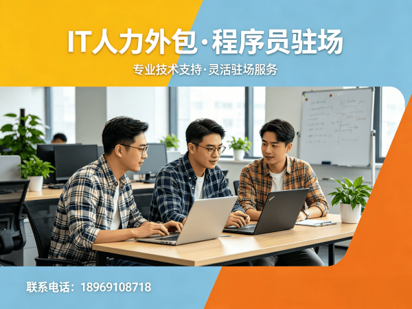 苏州IT人力外包解决方案：Go开发程序员驻场服务，解决企业技术人才缺口难题